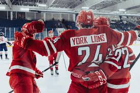Image result for York University Street Hockey Club