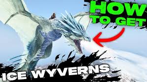 Image result for Wyvern