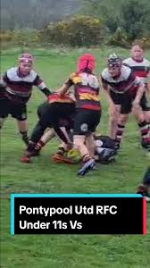 Image result for Pontypool United R F C