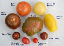 Afbeeldingsresultaat voor caro rich tomato