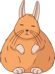 Image result for viscacha