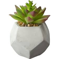 Image result for Mehikasvi