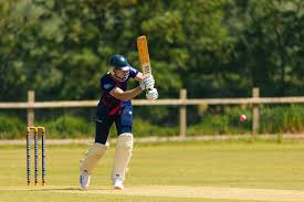 Image result for Hatherleigh Cricket Club