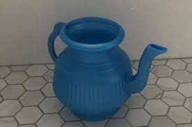 Image result for Lota lota
