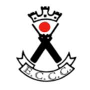 Image result for Rowington Cricket Club