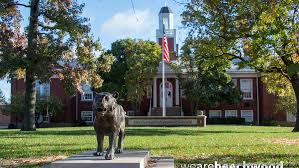 Image result for Beechwood Riding School