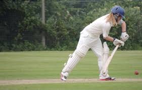 Image result for Luton Nomads Cricket Club