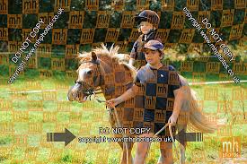 Image result for Chiddingfold Branch Of The Pony Club