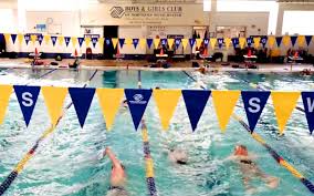 Image result for Lutterworth Swimming Club