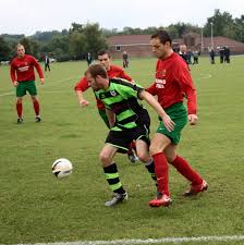 Image result for Welwyn Garden City Panshanger Football Club