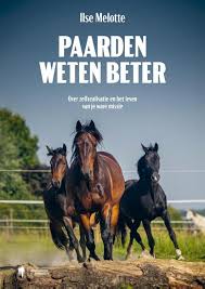 Afbeeldingsresultaat voor paarden