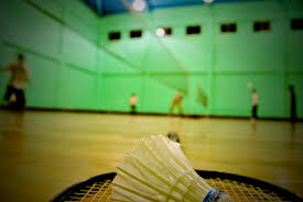 Image result for Pioneers Badminton Club