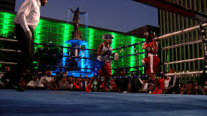 Image result for The Square Boxing Club