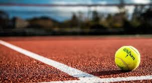 Image result for Gosfield Lawn Tennis Club