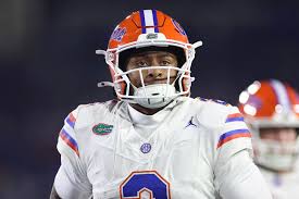 Image result for Grantham Gators