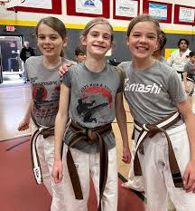 Image result for Villatoro Bushido Martial Arts