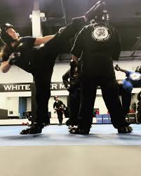 Image result for White Tiger Martial Arts
