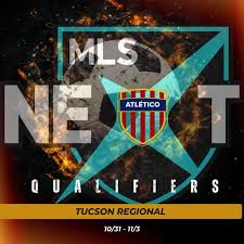 Image result for Horley Athletico Fc