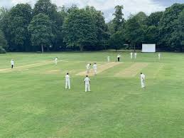Image result for Wraysbury Cricket Club