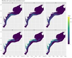 Image result for Myzopsetta ferruginea