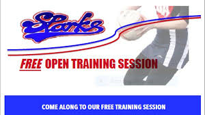 Image result for Sparks Netball Bristol