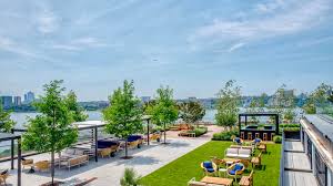 Image result for Dovey Yacht Club