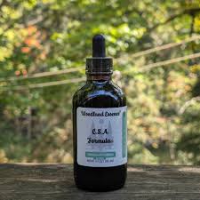 Attēlu rezultāti vaicājumam “Saelania glaucescens sporophyte”