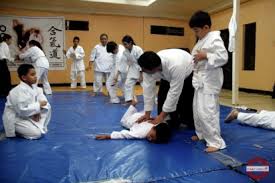 Image result for Aikido - Takama Hara Aikido Dojo