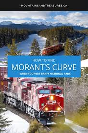 Résultat de recherche d'images pour "morant's curve"