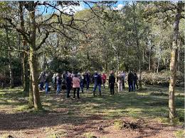 Image result for Bucklebury Cricket Club