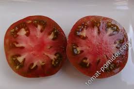 Afbeeldingsresultaat voor 1884 purple tomato