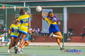 Image result for Wolverhampton City Netball League