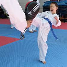 Image result for Central London Bytomic Taekwondo