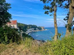 Image result for stevns klint