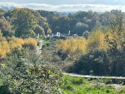 Image result for Elmbridge Road Runners