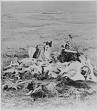 Battle of the Little Bighorn: Definition from Answers.