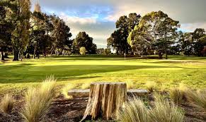 Image result for Avondale Gc