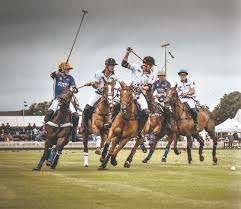 Image result for Cirencester Park Polo Club