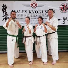 Image result for Chikara Dojo Of Kyokushin Karate