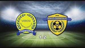 Image result for sényő