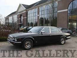 Image result for Sable Black 1982 Jaguar