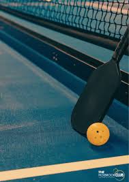 Image result for The Pickleballers UK