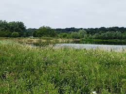 Image result for Norwich Frostbite Sailing Club