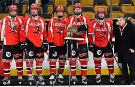 Image result for Winchester Hockey Club