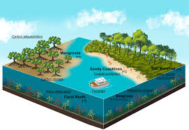 Image result for Unsworth Cc