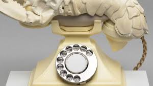 Image result for dali lobster telephone