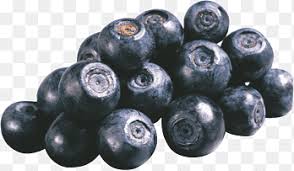 Attēlu rezultāti vaicājumam “Vaccinium uliginosum fruit”