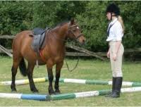 Image result for Palmers Riding Stables