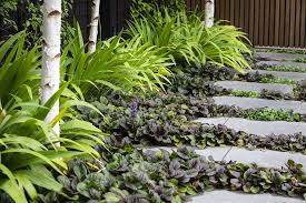 Image result for Ajuga reptans