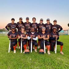 Image result for Lions Softball Club